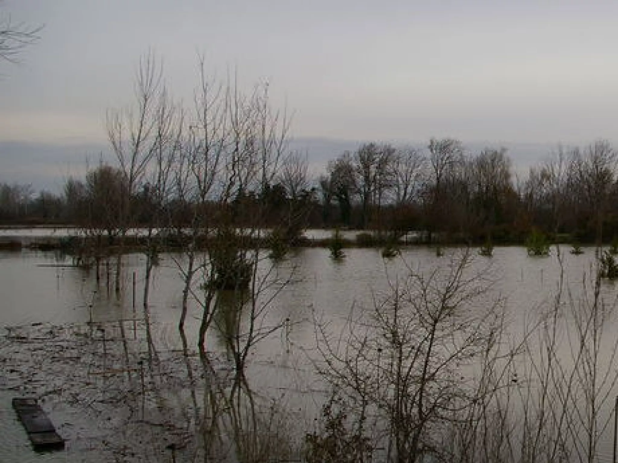Changement climatique : forcer la prise de conscience ?
