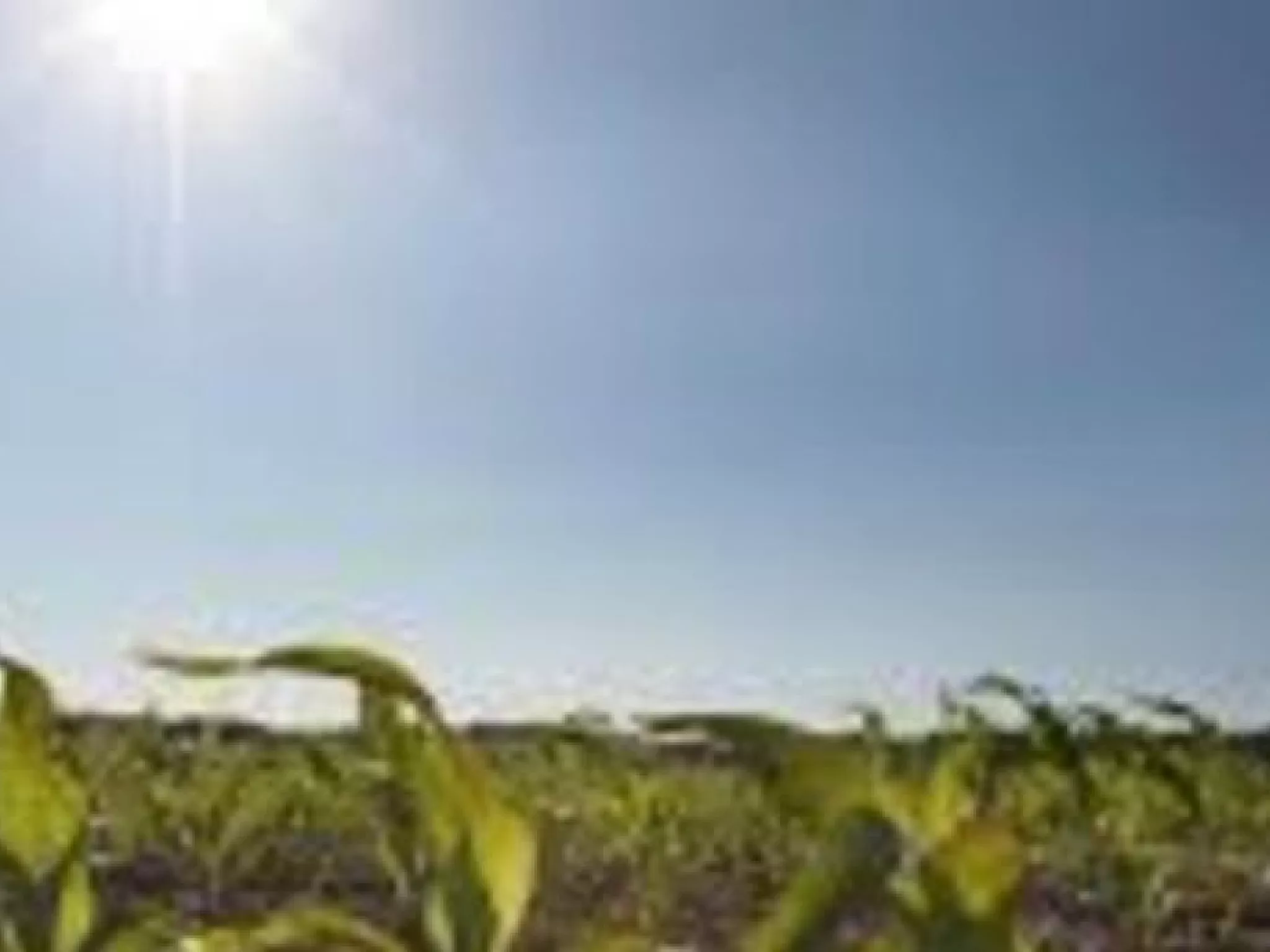 Le Plan Climat Energie Territorial : en Vaucluse, c'est parti !