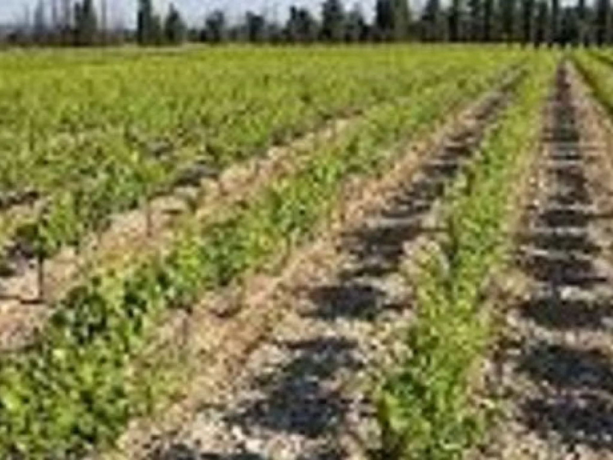 FNE Vaucluse signe la Charte Paysagère Environnementale des Côtes du Rhône