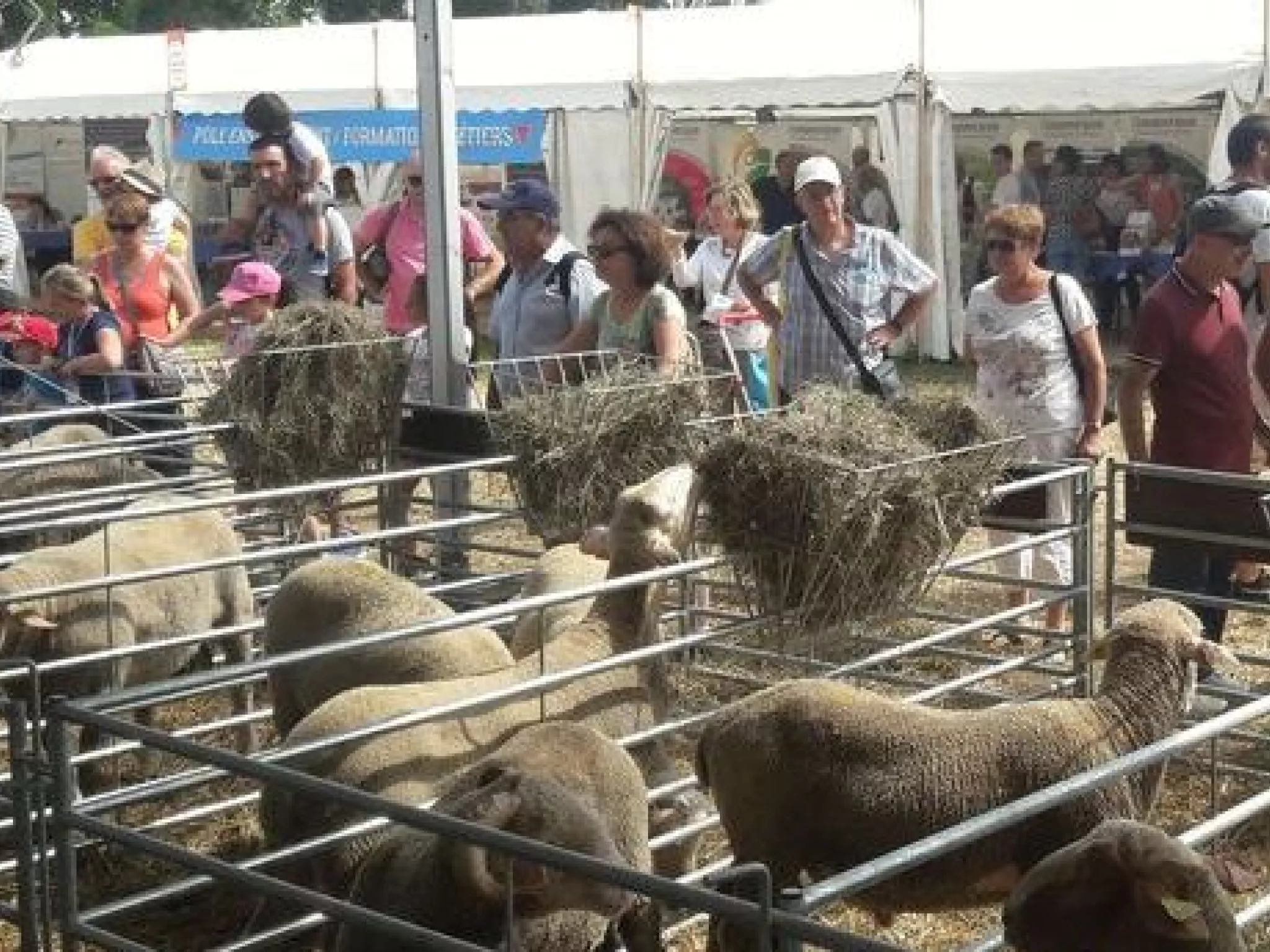 FNE Vaucluse au salon des agricultures de Provence