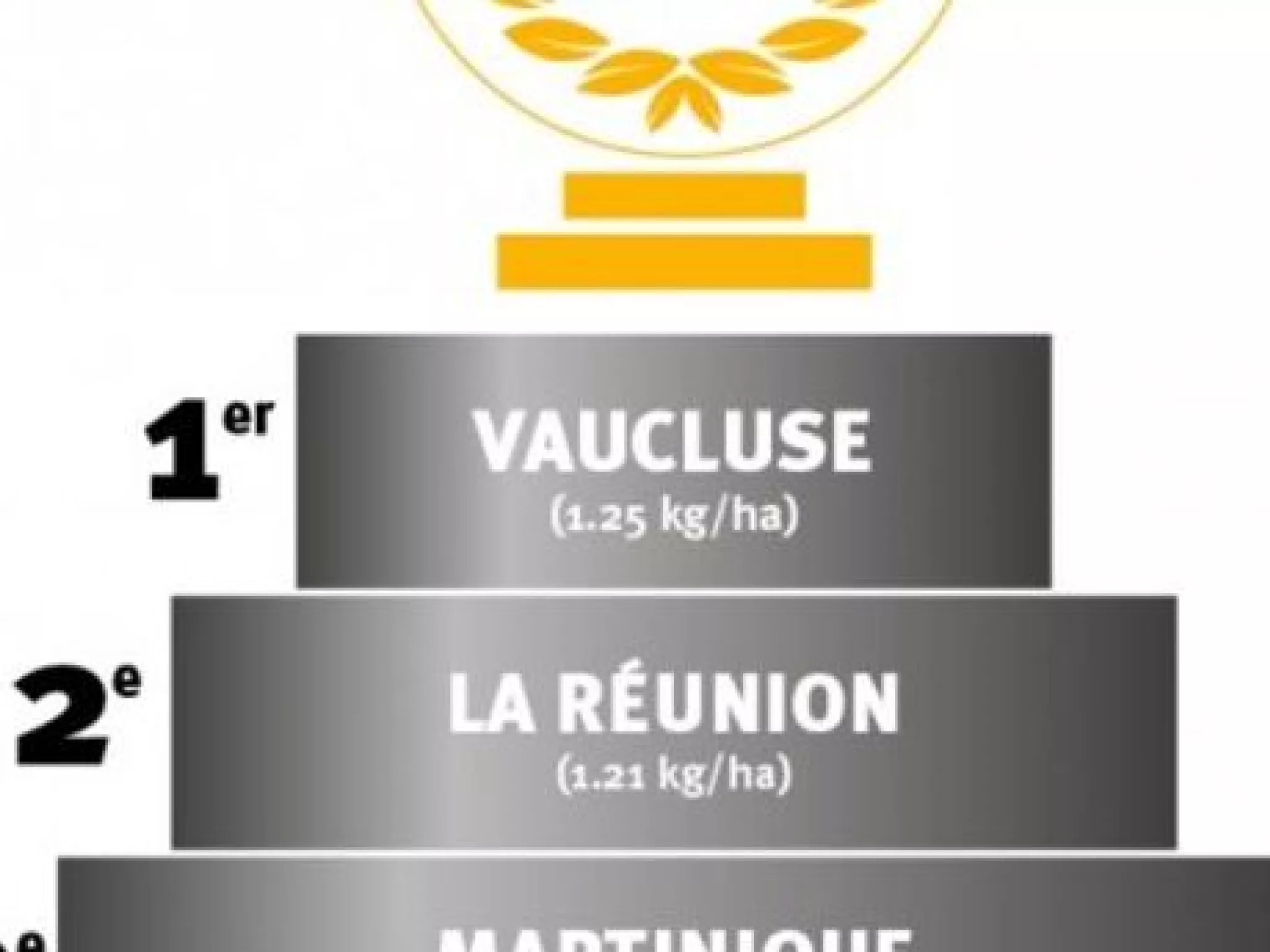 Le Vaucluse remporte le glyph'Award d'or