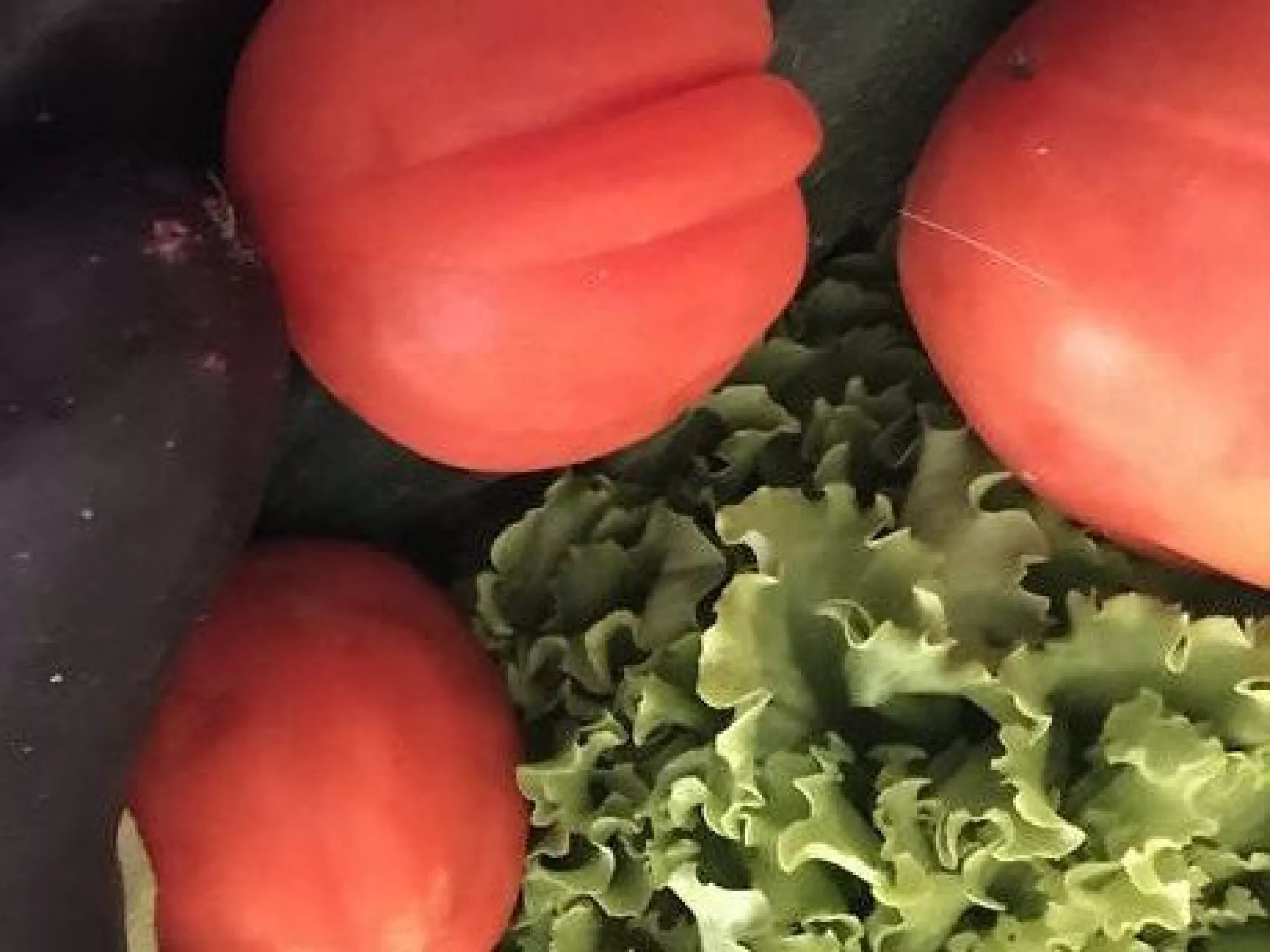 assiette_alimentation_santé