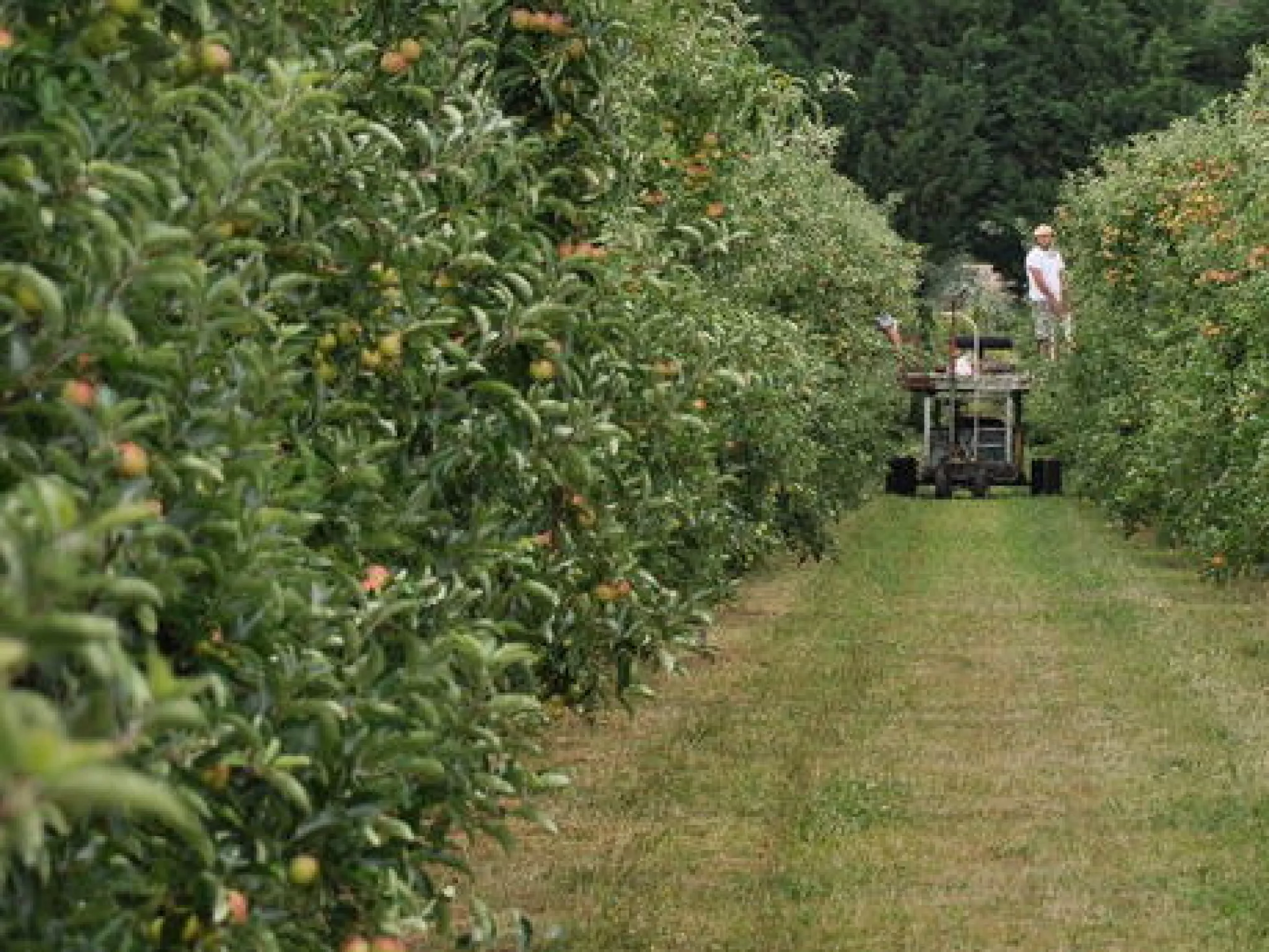 Changement Climatique, Eau _Agriculture