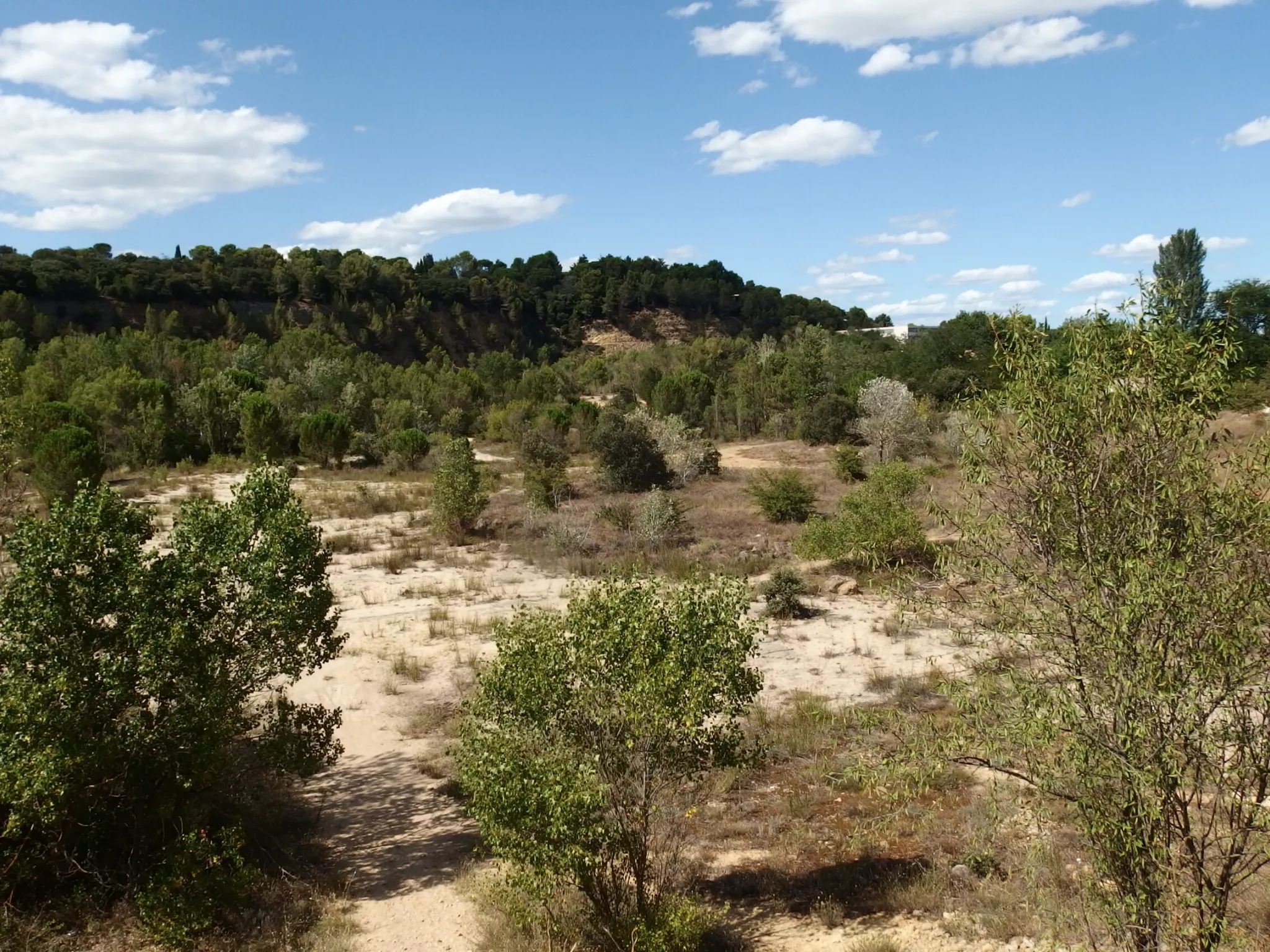 Protégeons le site des carrières de l'étang à Orange