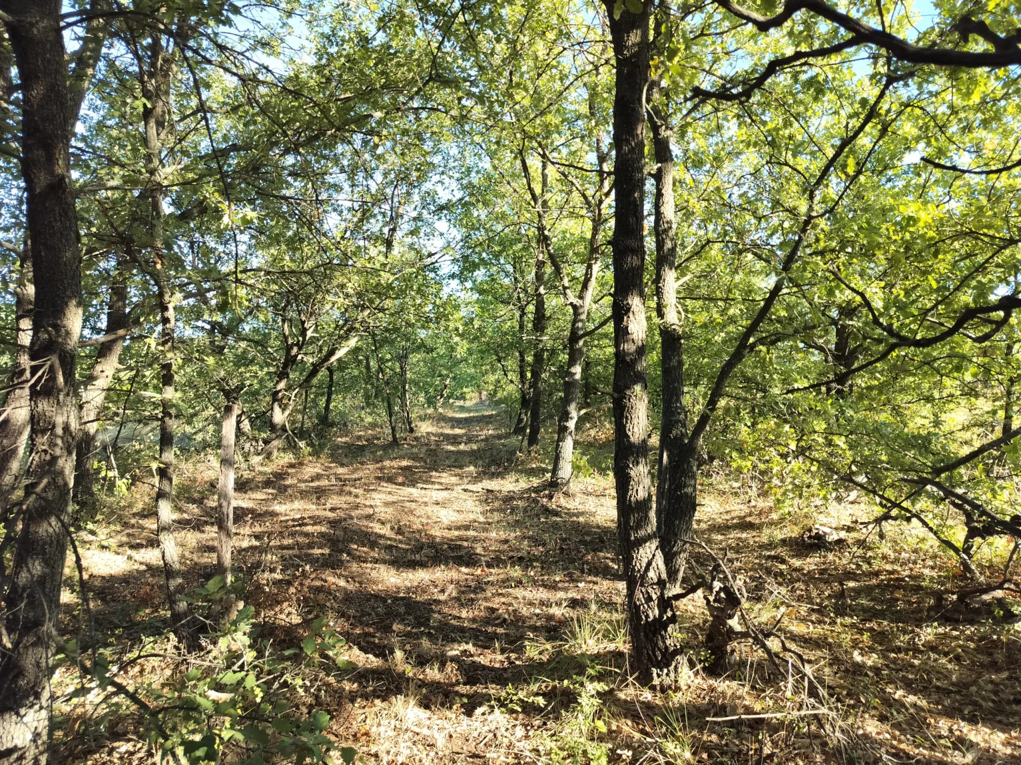 Acquisition d'un terrain en faveur de la biodiversité