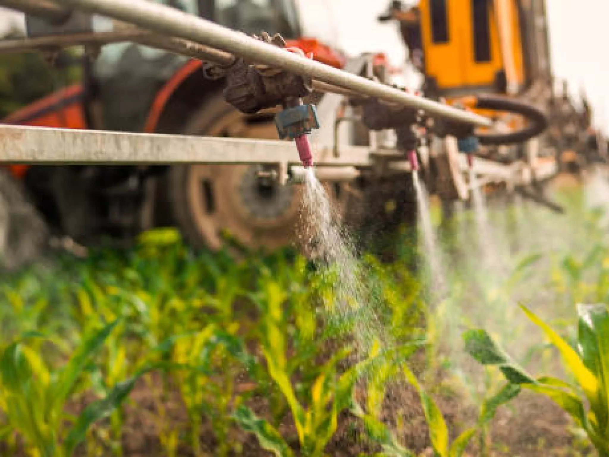 NOS ESPOIRS DE VOIR CONDAMNER UN SCANDALEUX TRAFIC DE PESTICIDES DANS LE VAUCLUSE