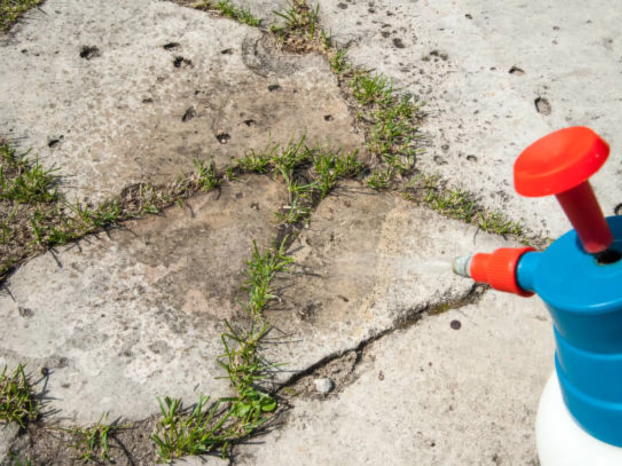 Trafic de glyphosate en Vaucluse : les vents contraires