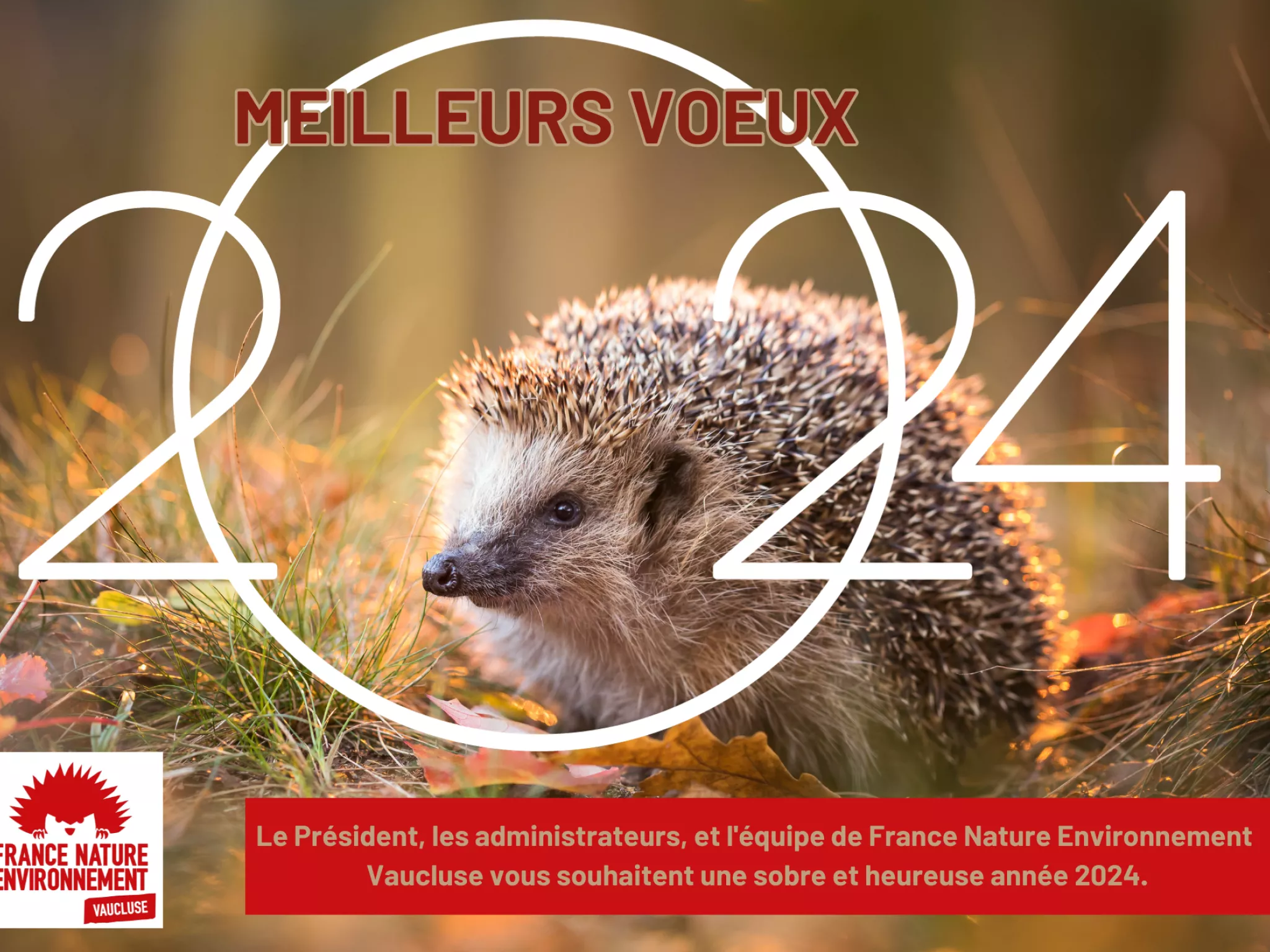 VOEUX 2024