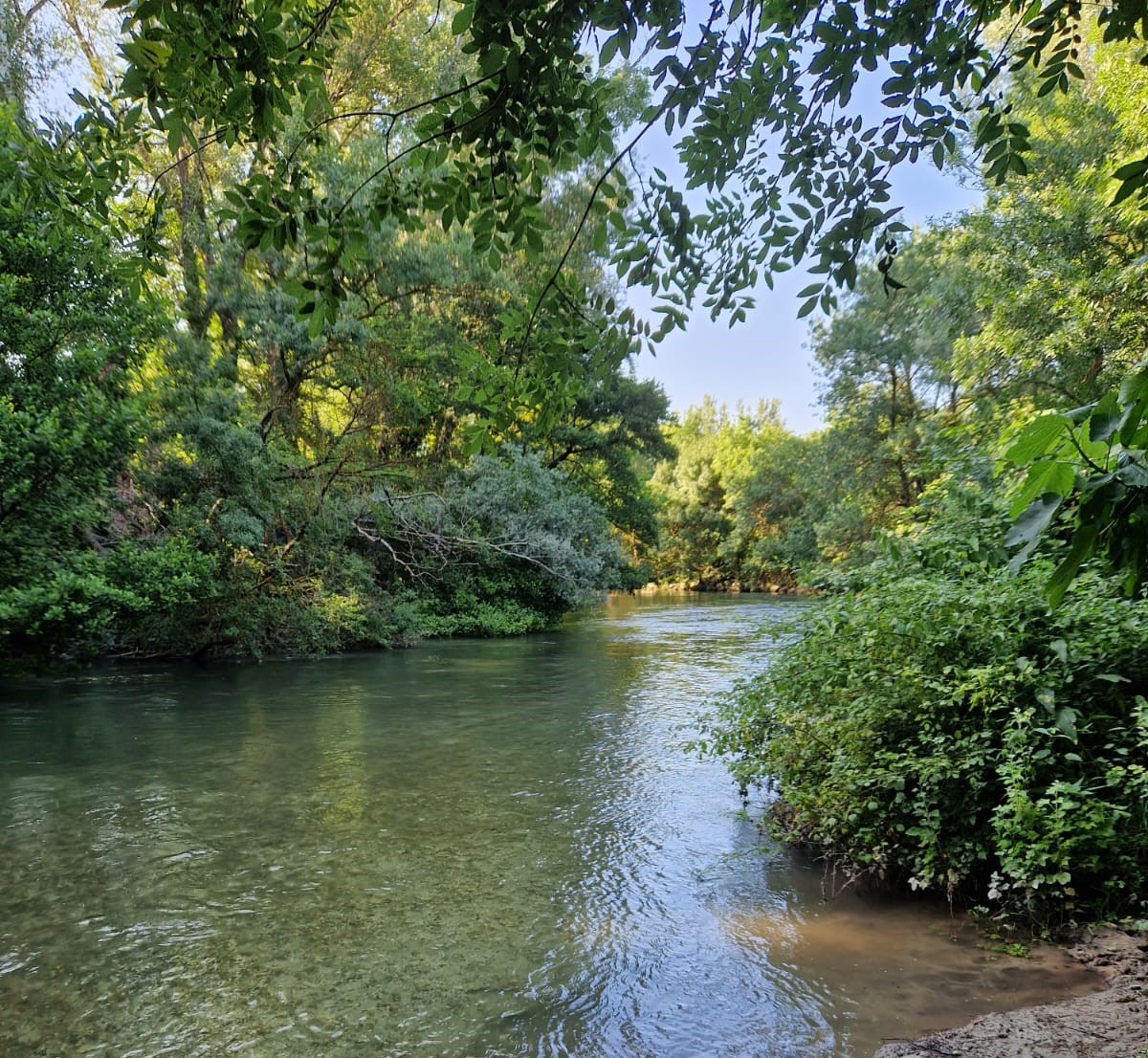 La Sorgue à Bédarrides