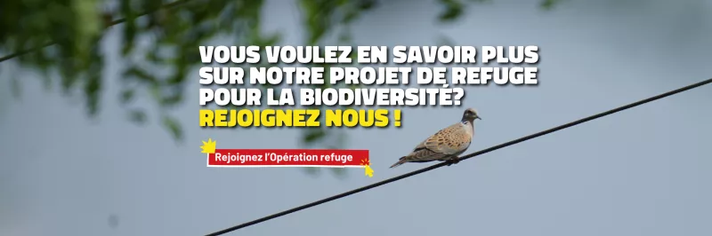 Opération_refuge