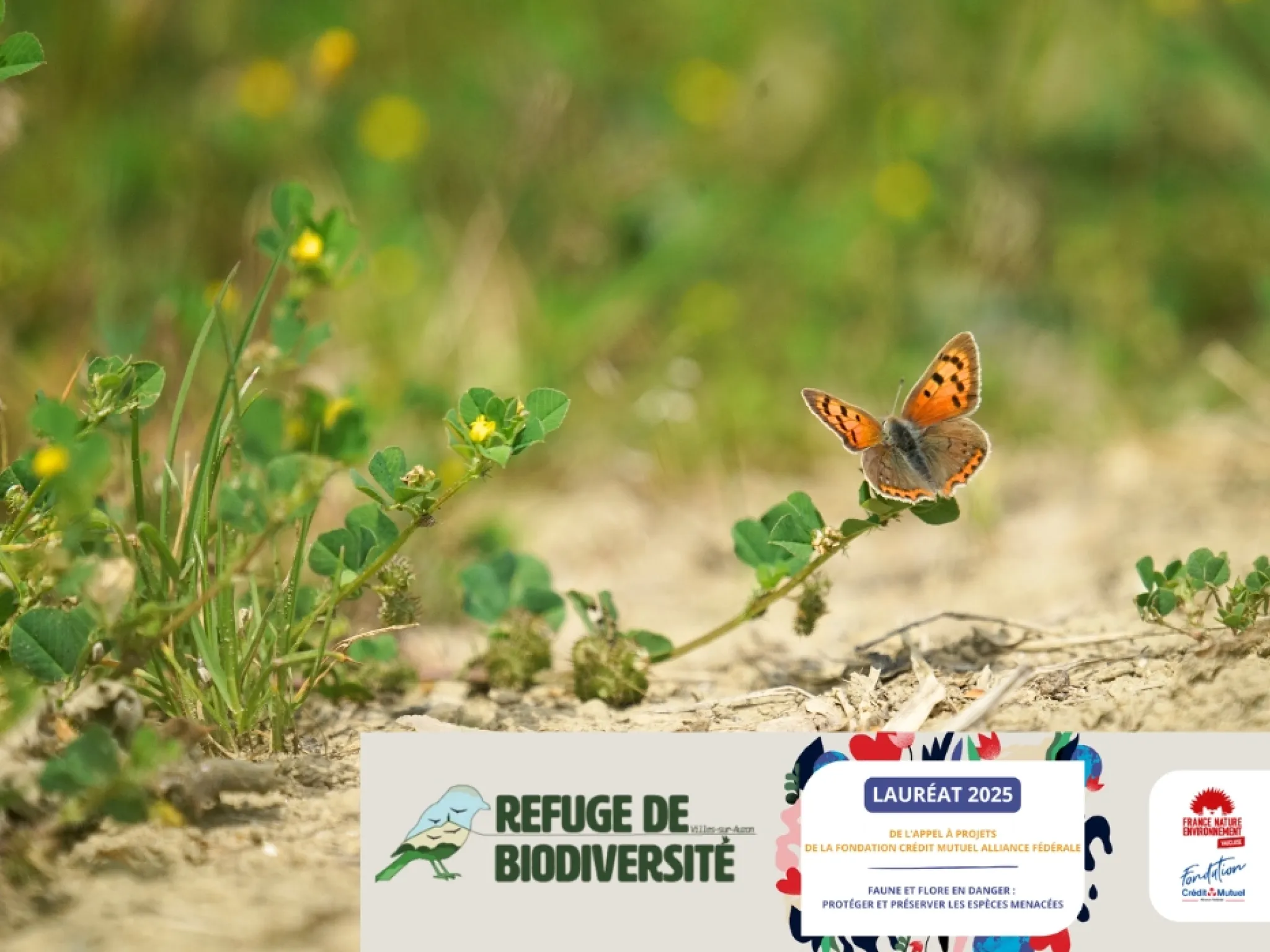 Refuge biodiversité