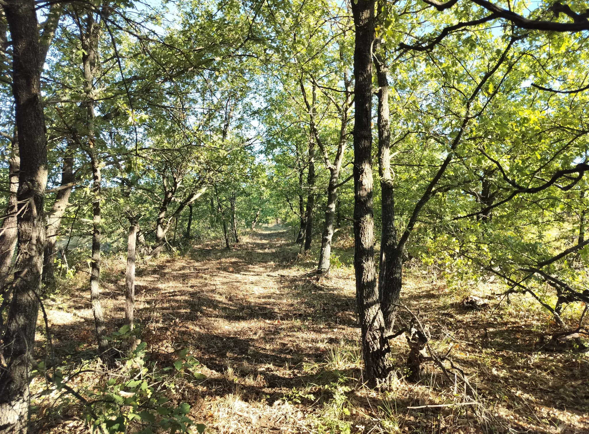 Terrain de FNE 84 à Villes-sur-Auzon